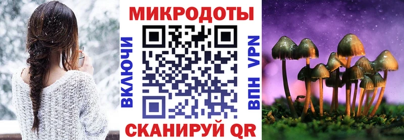 Галлюциногенные грибы Psilocybine cubensis  Сосновка 